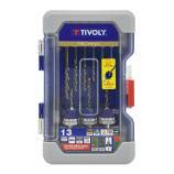 13 pièces -3 kits mèche & fraise bois métal HSS 2en1 + 6 forets HSS + 3 embouts inox + accessoires 